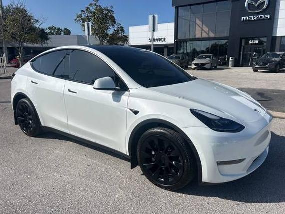 TESLA MODEL Y 2023 7SAYGAEE1PF706546 image